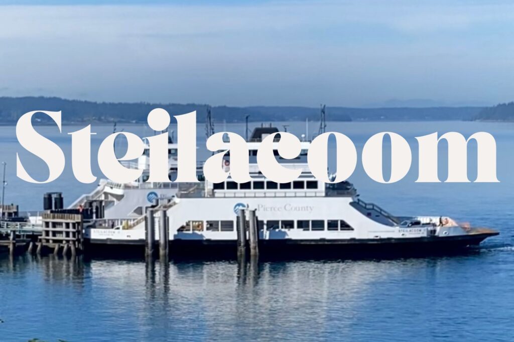 Steilacoom Ferry Puget Sound View