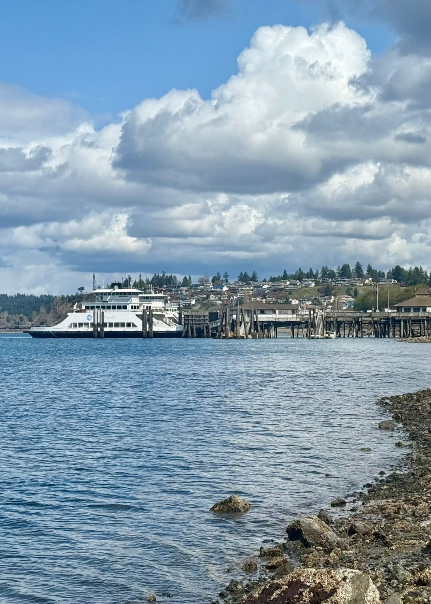 Steilacoom Ferry View from Saltar's Point Beach